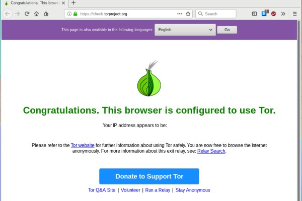 Mega tor browser